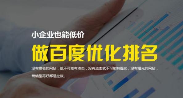 提高排名的有效方式（掌握SEO技巧，轻松实现排名提升）