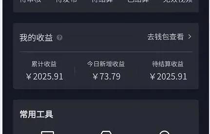 抖音常见价格类型及其规律（探究抖音广告、合作和账号价格的特点与变化）