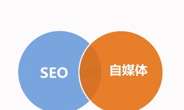 SEO推广优化的方法（从选择到优化技巧，提高网站排名的实用方法）