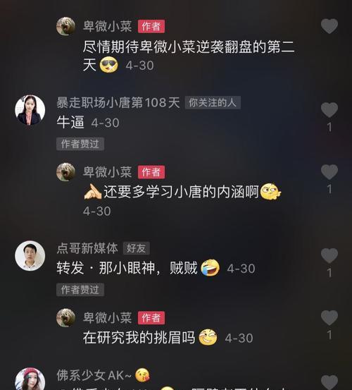 解密抖音飞鸽在线客服日志，轻松了解用户服务全过程（了解飞鸽在线客服的一切，让你更放心地使用抖音）