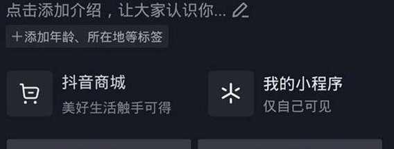 探秘抖音小店id（小店经营必备，教你如何拥有一个高效的抖音小店id）