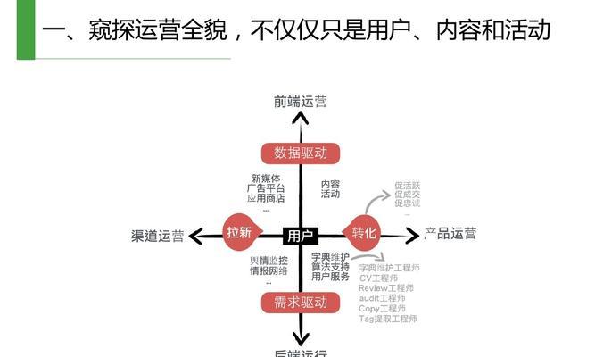 分享文章中的提取与拓展方法（优化文章提高流量的实用技巧）