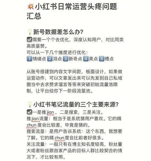 小红书运营从入门到精通（如何通过小红书运营提升品牌影响力和销售业绩）