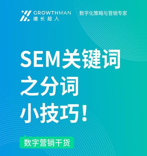 SEM优化技术解析（掌握6种关键技术，让你的SEM变得更出色）