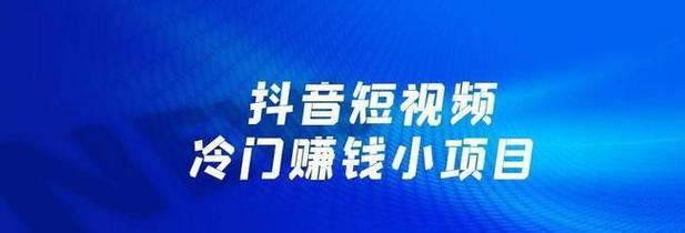 抖音抖加投放技巧全掌握（从短视频到直播，营销利器想怎么玩就怎么玩）