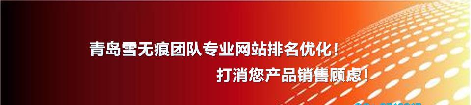 一：制定优化计划