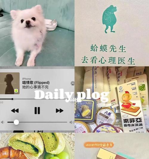 好物分享原创视频，探索美好生活（发现身边的优质好物，让生活更精彩）