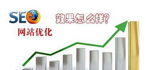 未来企业生存之道（掌握SEO技能，让您的企业在搜索引擎中脱颖而出）