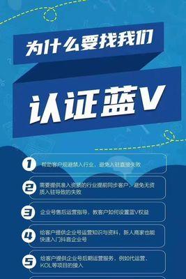 如何成功运营抖音蓝V企业号（掌握这些技巧，让你的企业号在抖音上领先于众多竞争者）