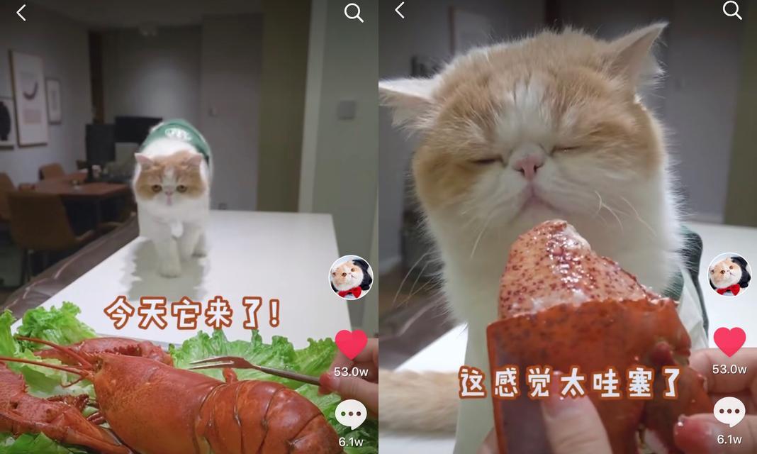 揭秘抖音吃播的“不胖之谜”（为什么吃播主播吃那么多却不胖？）