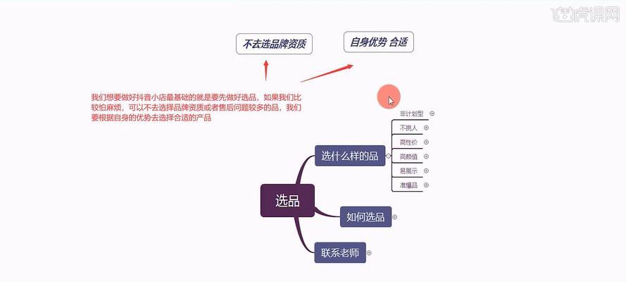 打造抖音带货新选择，选品攻略大揭秘（从选品需求到商品特点，这些你必须知道的要点）