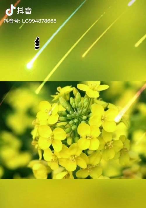 抖音隐私保护（用户隐私安全受保护的关键）