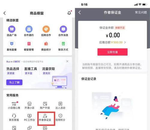 探秘2023抖音商品橱窗（抖音商品橱窗中的主要类目和趋势预测）