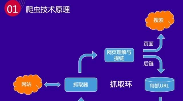 提高网站SEO优化的方法（从蜘蛛抓取到排名提升）