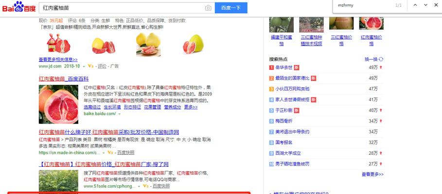 网站首页快照变成了网址（从用户体验）