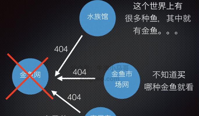 网站死链接检测与提交工具介绍（让您的网站更健康——死链接快速检测及处理）