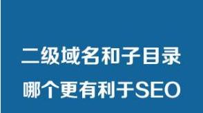 域名对网站排名的影响（域名选择的关键性和优化技巧）