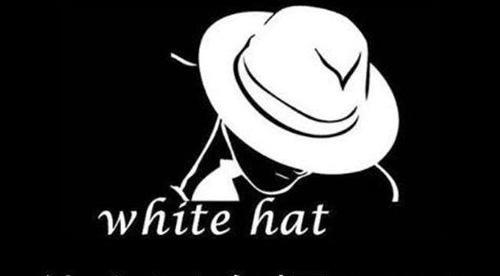 白帽技术快速提升网站排名的秘密（揭秘白帽技术的运用方法与注意事项）