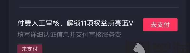 抖音蓝V认证攻略（如何快速获得抖音蓝V认证）