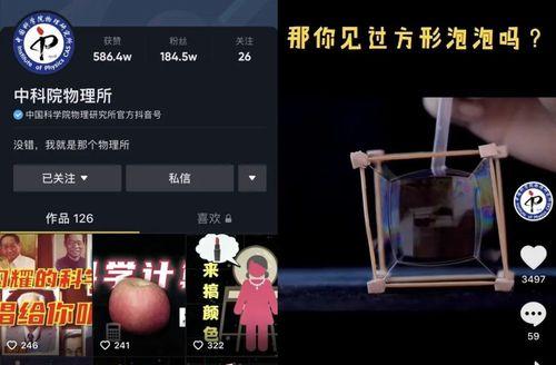 如何快速获得1000个抖音粉丝（实用技巧大揭秘）