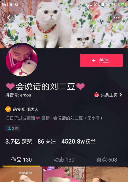 抖音橱窗被关闭后如何重新开通（如何维护橱窗）