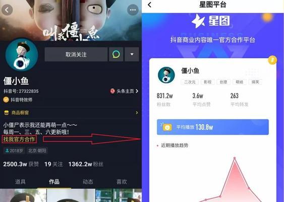 抖音1000粉丝如何玩转营销（打造个人品牌的关键）