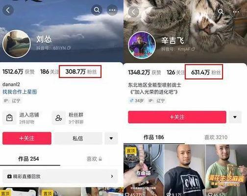 如何知道抖音一个作品涨了多少粉（掌握这些技巧）
