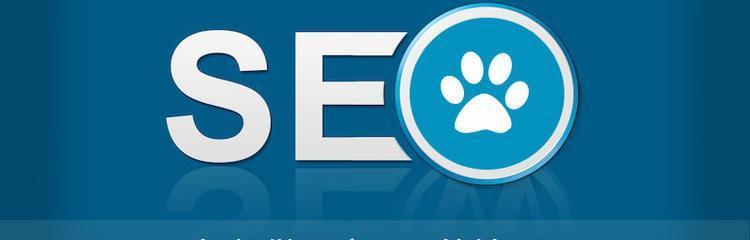 避免SEO优化常犯的6个错误（让你的网站排名更上一层楼）