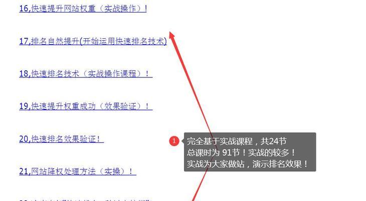 从理论到实践（掌握SEO优化技能）