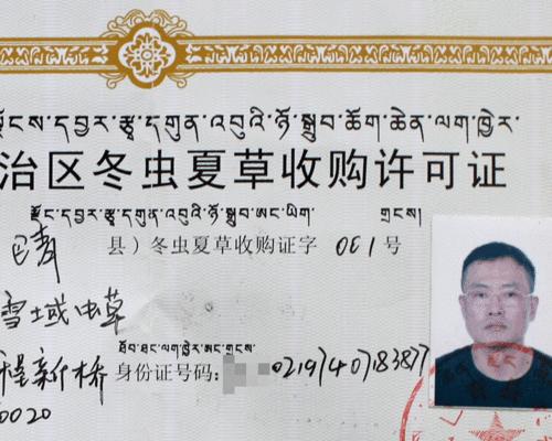 冬虫夏草网站长尾词搜索流量的重要性（优化提升网站搜索流量的实用技巧）