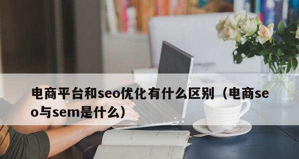 网站优化对电商的重要性（如何通过网站优化提升电商业务）
