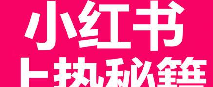 小红书粉丝积累攻略（打造有影响力的小红书账号）