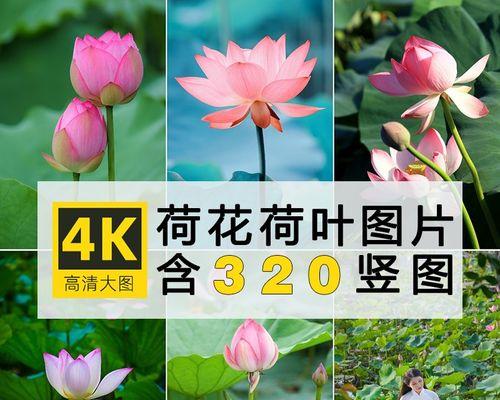 探寻抖音壁纸号的创意之源（抖音壁纸号的主题）