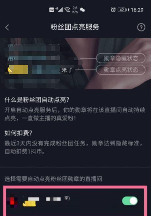 抖音灯牌价格多少（探究抖音灯牌的价值与价格）