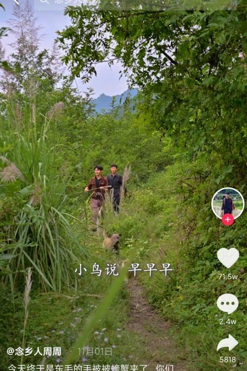 抖音隐私保护绿色开启（用户隐私安全受保护）