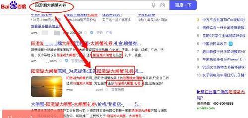 实现网站排名进入首页的关键（优化技巧和策略）