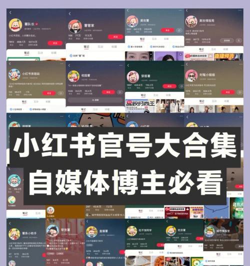 小红书家居销售攻略（利用小红书平台提高家居销售额的秘诀）
