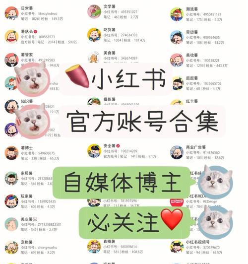 小红书超过90天的作品，如何推广（从用户互动到社交媒体营销）