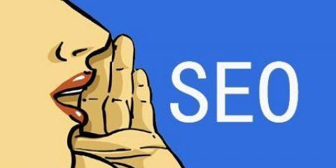 SEO新手指南（了解搜索引擎工作原理）