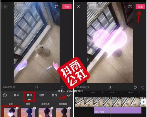 抖音短视频水印去除教程（轻松实现水印去除）