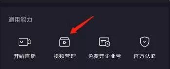 揭秘抖音话题播放量统计方法（从用户行为到算法分析）