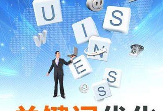 域名和网站的相关性（深度探析域名和网站的关系）