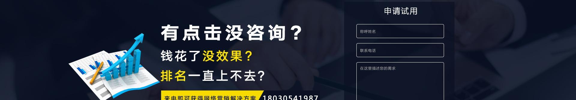 如何快速提升网站收录（掌握这些技巧）