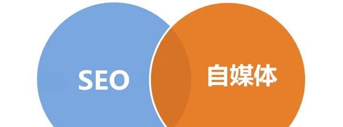 专业SEO优化公司的重要性（为什么选择专业SEO优化公司）
