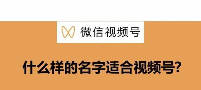 微信视频号推流机制揭秘（探究微信视频号如何进行内容推荐）
