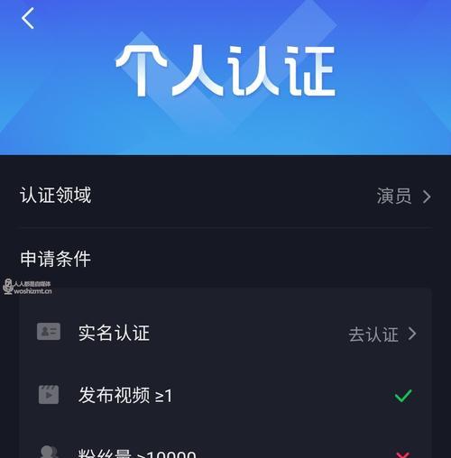 小红书蓝v认证流程详解（如何通过主题文章认证成蓝v用户）