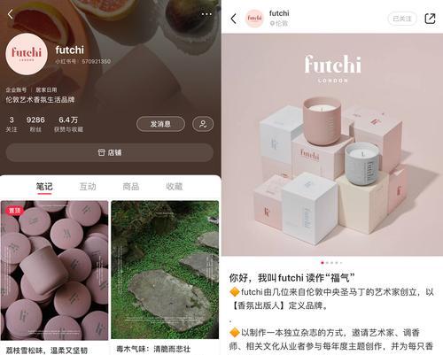 小红书——社区电商平台（打造年轻人的美好生活）