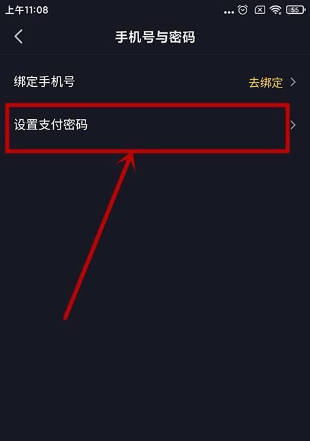 如何设置抖音IP地址（详解抖音IP地址设置步骤及技巧）