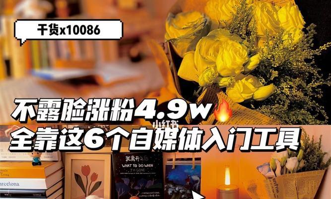 小红书热门时间段解析（探寻用户使用小红书的高峰期）