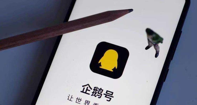 揭秘百家号最受欢迎领域（一探究竟）